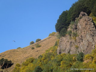 Serra_del_Salifizio - 31-07-2016 10-17-58.jpg